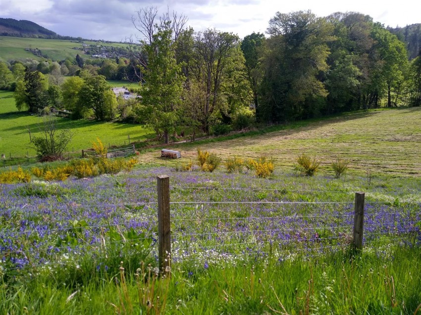 Images for Inswick, Strathpeffer